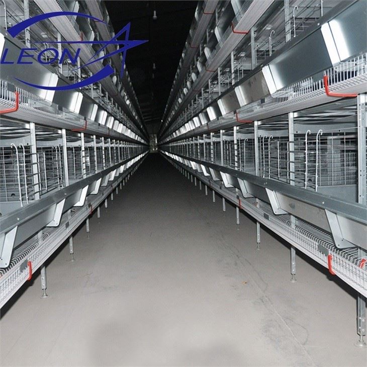 Layer Cage In Animal Cages Layer Cage In Animal Cages