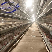 Broiler Kümesleri İçin H Tipi Tavuk Kafesi