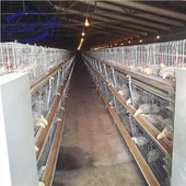 Broiler Kafesi
