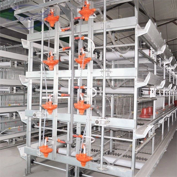 The New Full Automatic H Type Broilers Cage For 2021