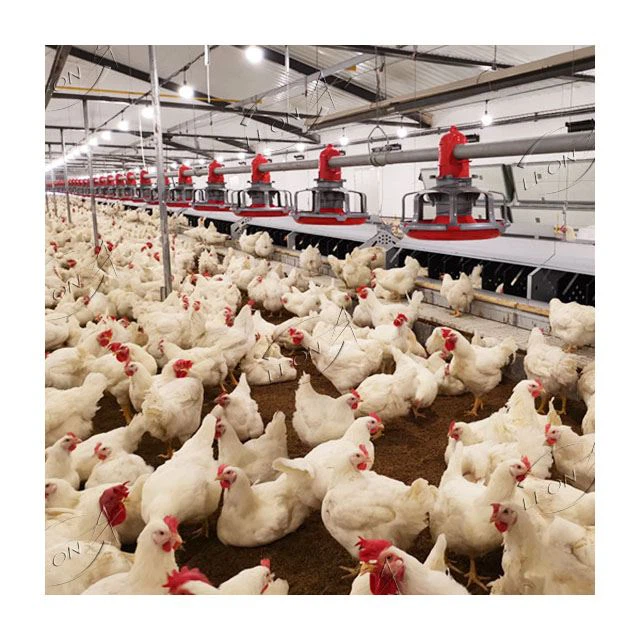 breeder system breeder system