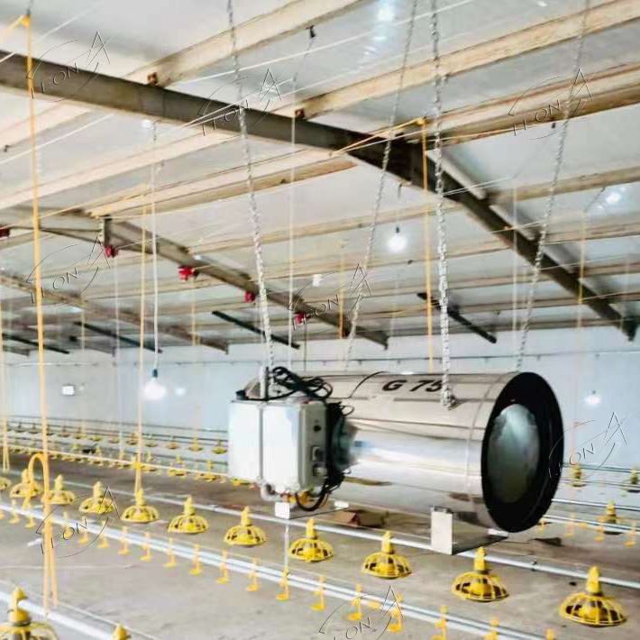 Heating System for Poultry