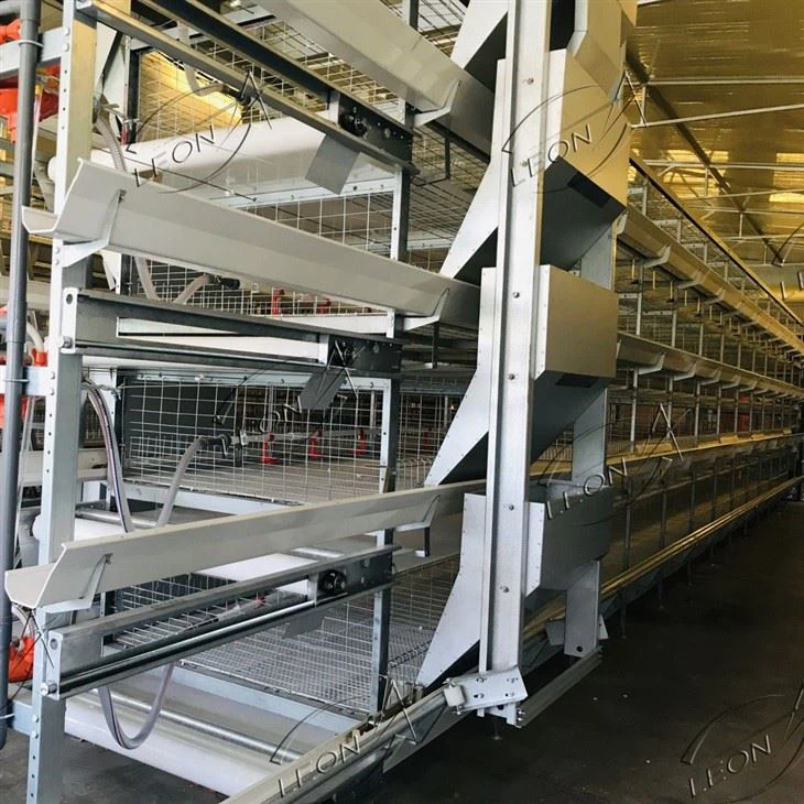 Broiler Cage System Automatic